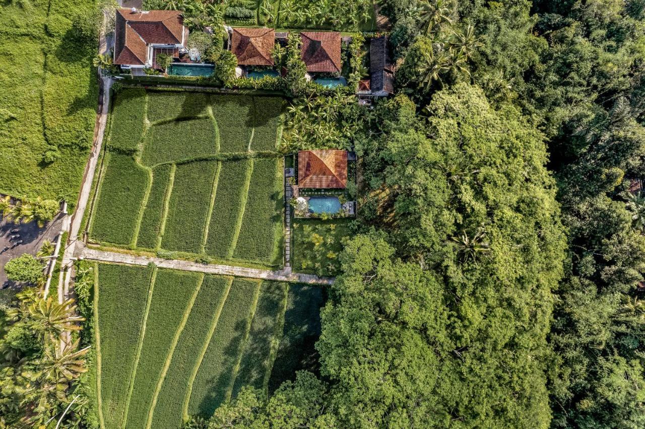 Ratni Ubud Villa Buitenkant foto